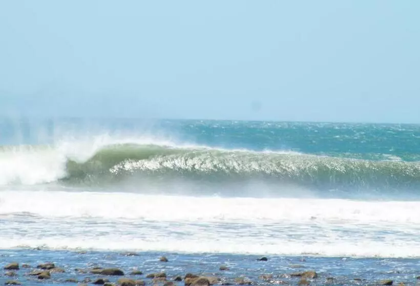 Hotelli Alive Beach House