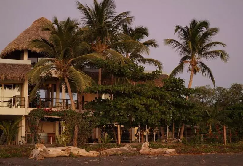 Hotelli Alive Beach House