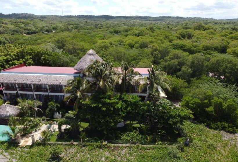 هتل Alive Beach House