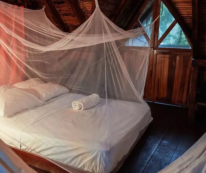 Hotelli Nunkai La Punta   Hostel