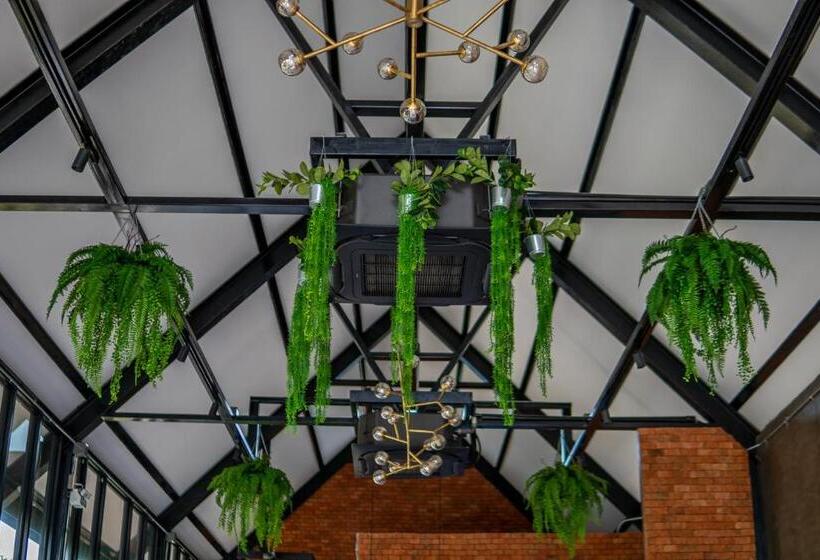 渡假胜地  Coco Pina