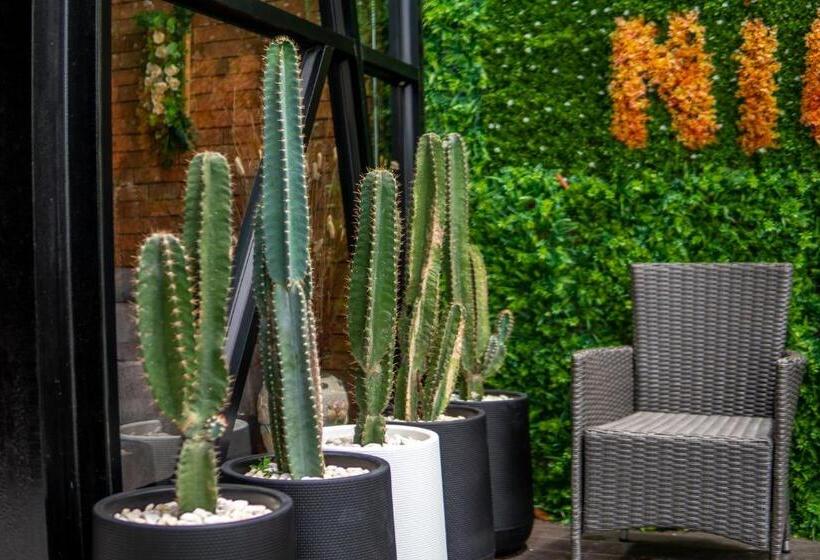 渡假胜地  Coco Pina