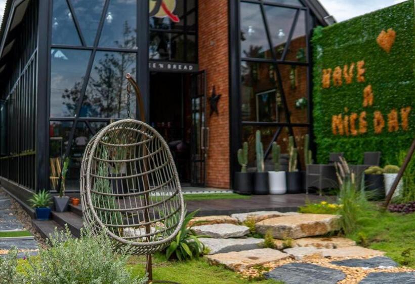 渡假胜地  Coco Pina