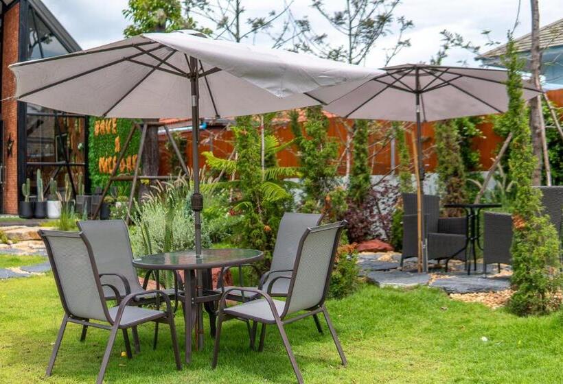 渡假胜地  Coco Pina