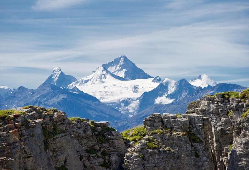 호스텔 Alaïa Lodge