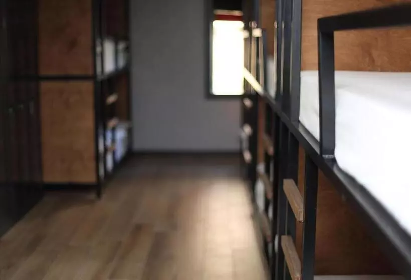 ユースホステル Alaïa Lodge