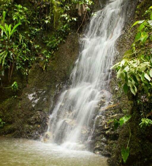 ホテル Finca El Sestillal