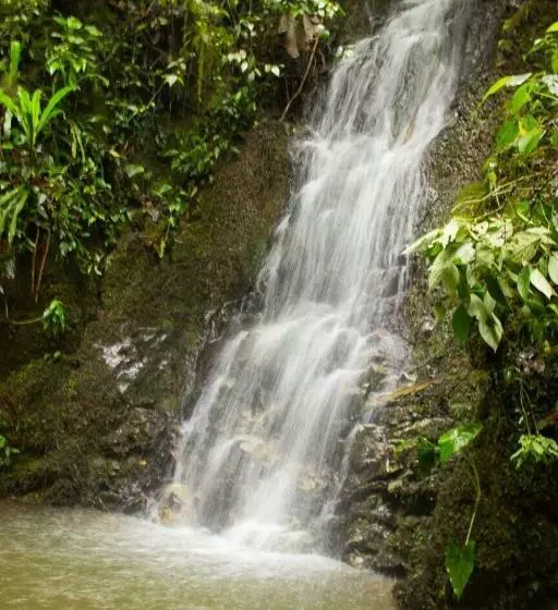 ホテル Finca El Sestillal
