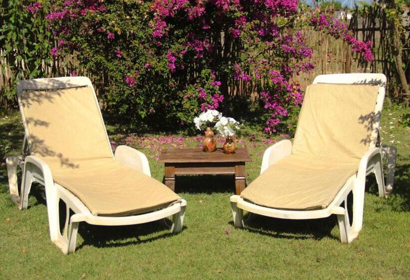 پانسیون Pousada área Talismã