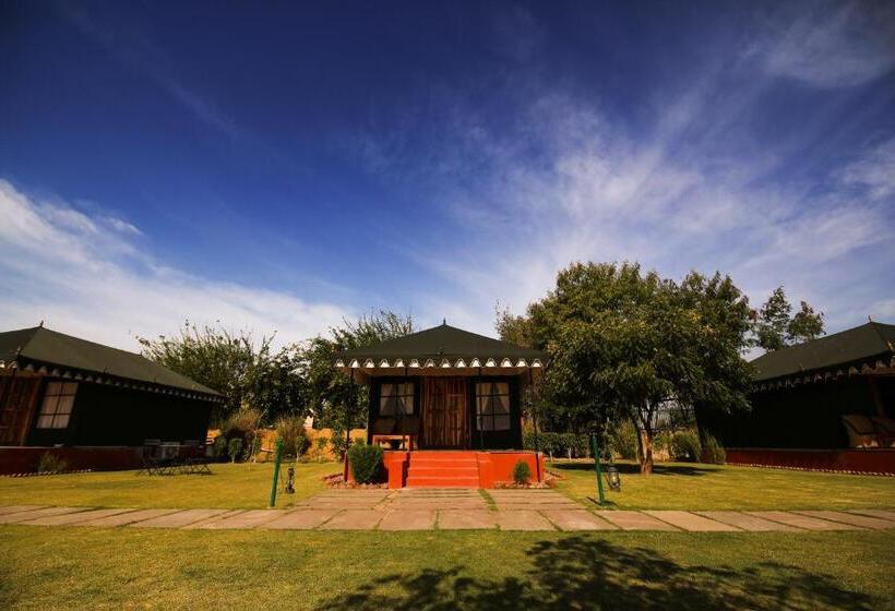 אתר נופש The Shergarh