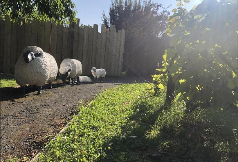 בית מלון כפרי Hôtel Chilhar