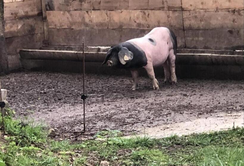 בית מלון כפרי Hôtel Chilhar