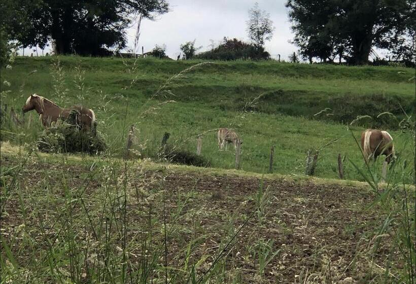 בית מלון כפרי Hôtel Chilhar