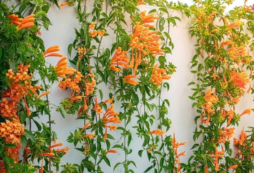 ホテル Sumaq Plaza