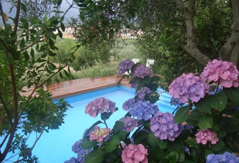 Casa Rural Rincón De La Fuente