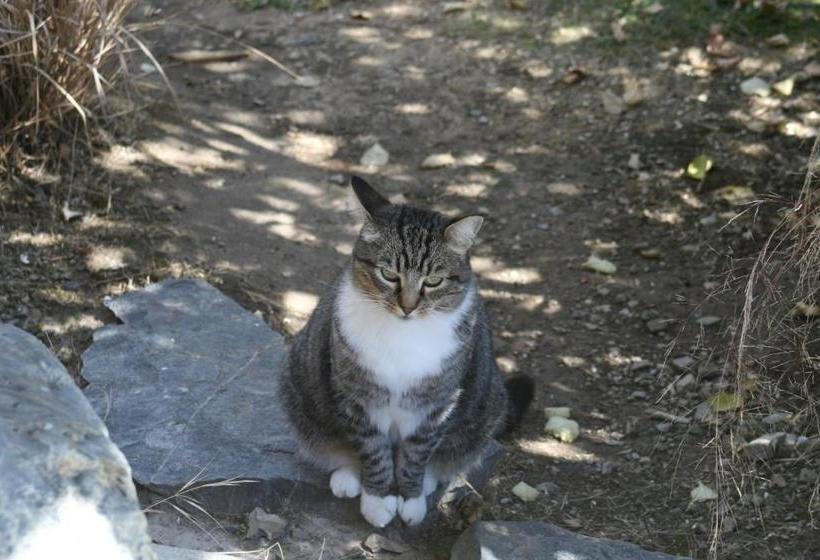 Creel House Bed And Breakfast