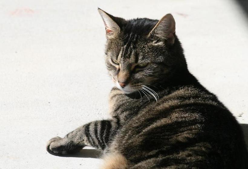 Creel House Bed And Breakfast