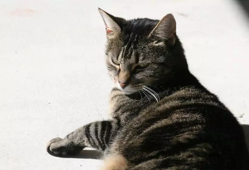 Creel House Bed And Breakfast