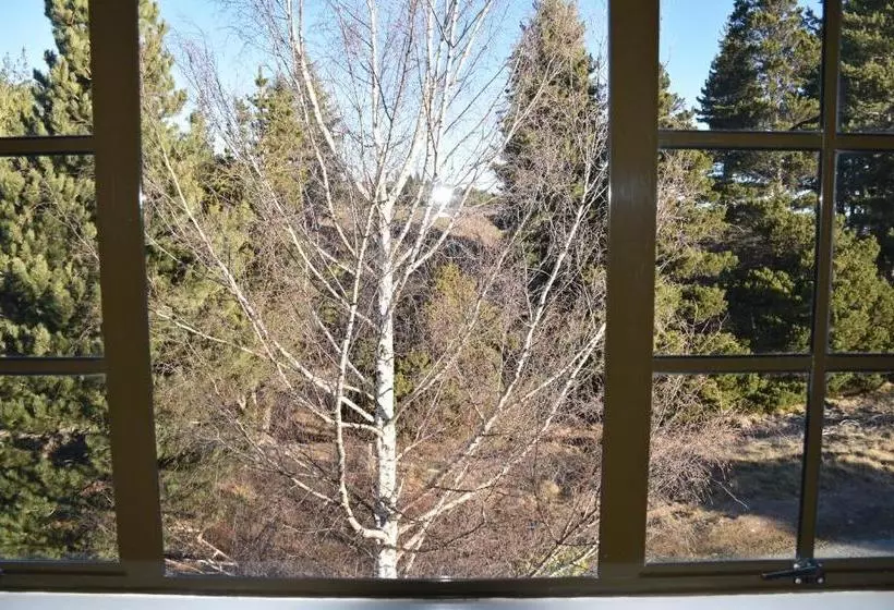 Creel House Bed And Breakfast