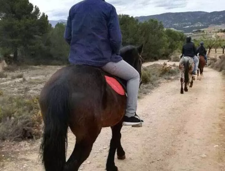 客栈  Rural Valhalla