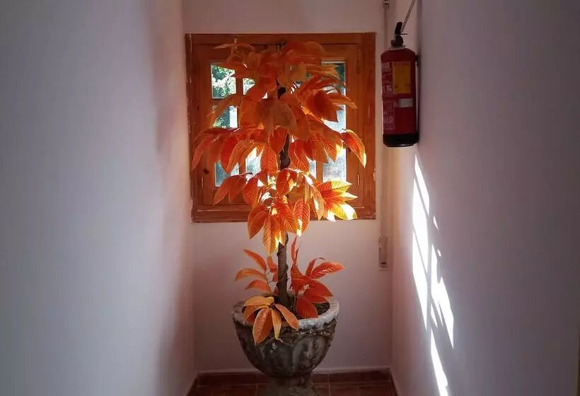 Hostal Rural Valverde