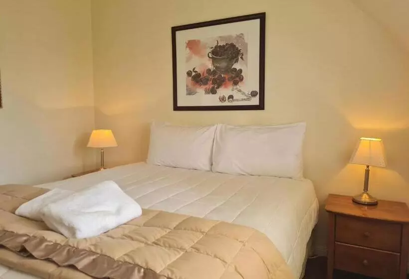 בית מלון כפרי Akaroa Village Inn