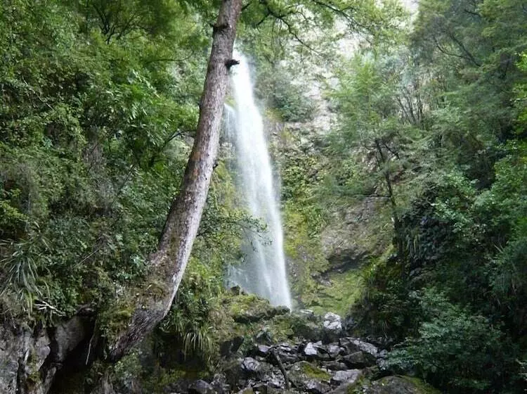 ホテル Alpine Lodge