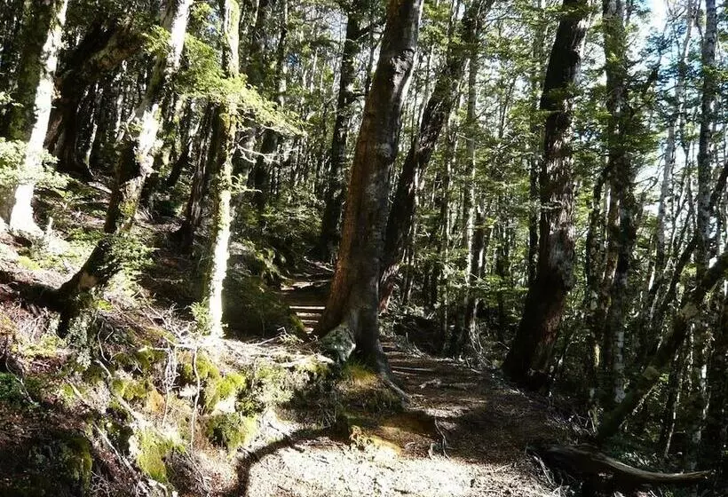 ホテル Alpine Lodge