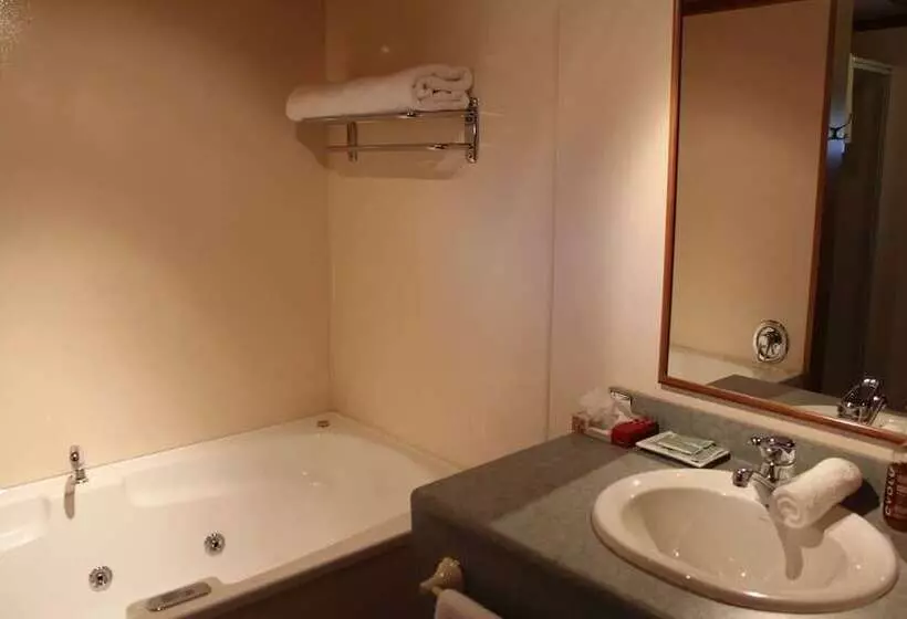 ホテル Alpine Lodge