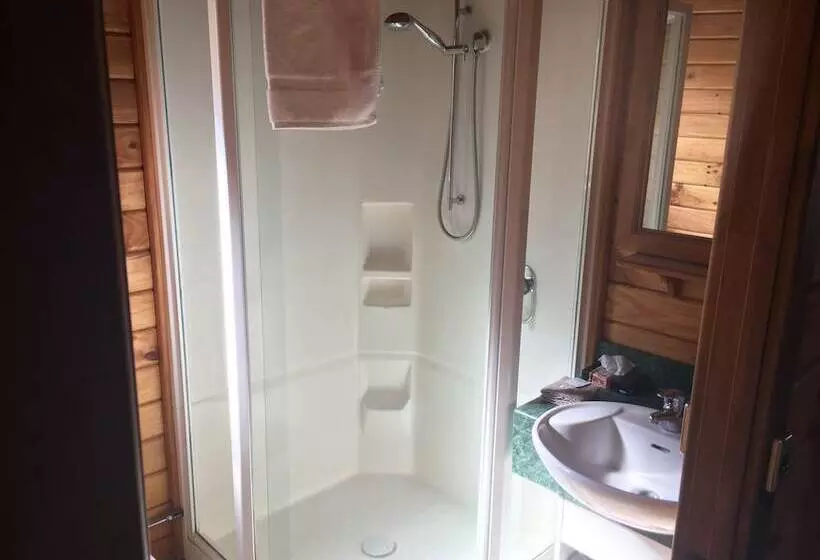 ホテル Alpine Lodge