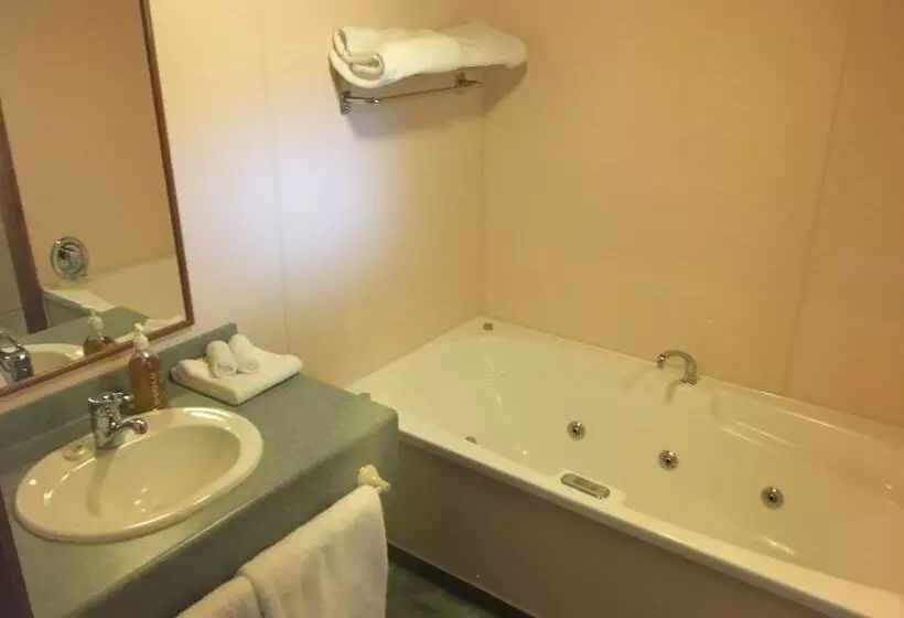 ホテル Alpine Lodge