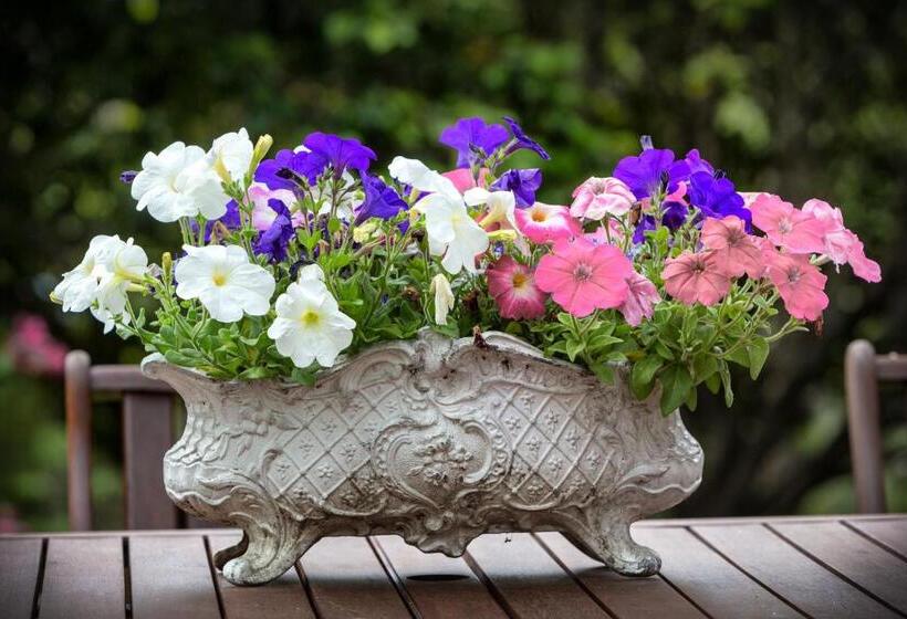 호텔 Beaufort House Akaroa