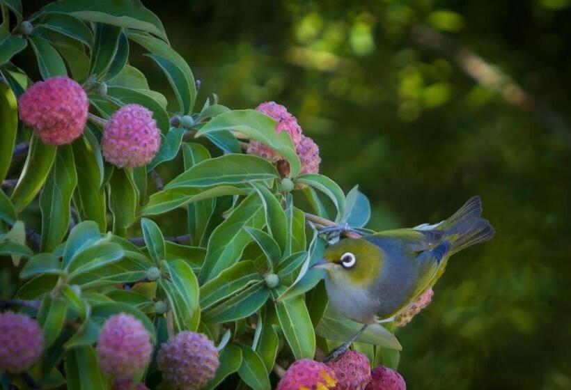 호텔 Beaufort House Akaroa