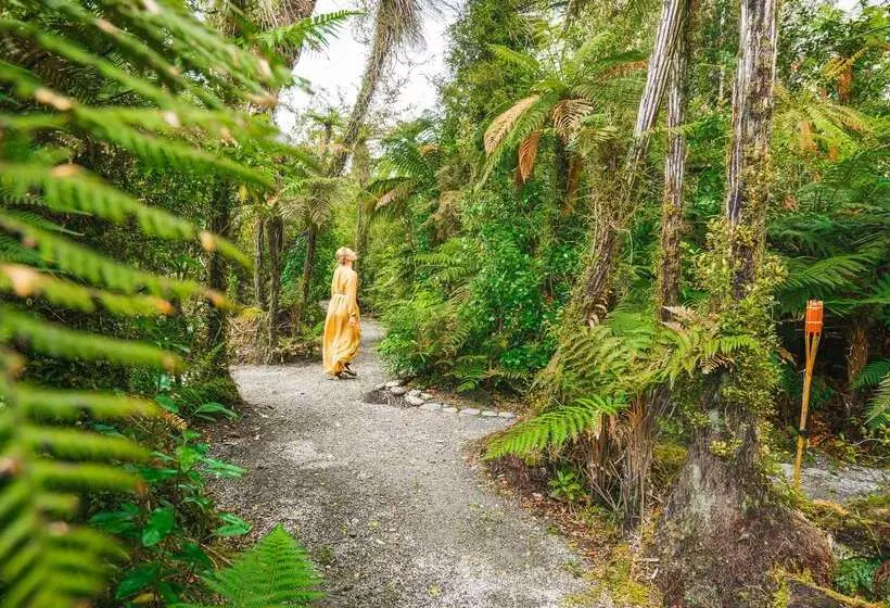 فندق Te Waonui Forest Retreat