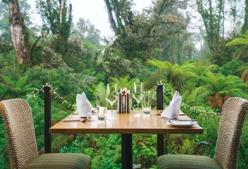 فندق Te Waonui Forest Retreat