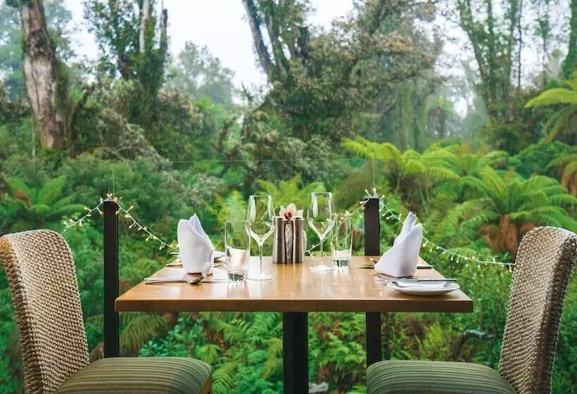 فندق Te Waonui Forest Retreat
