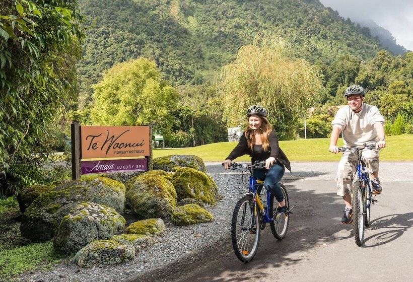 Отель Te Waonui Forest Retreat