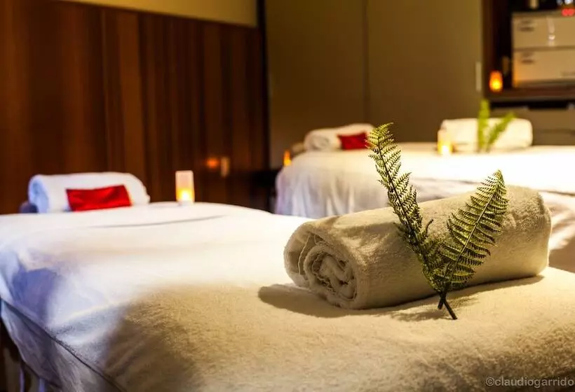 فندق Te Waonui Forest Retreat