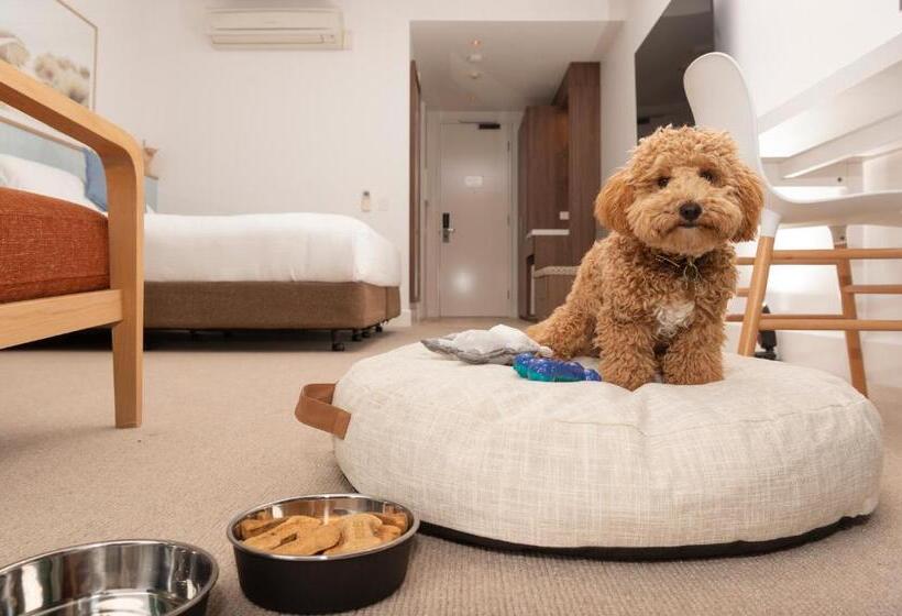 酒店 The Sands Torquay