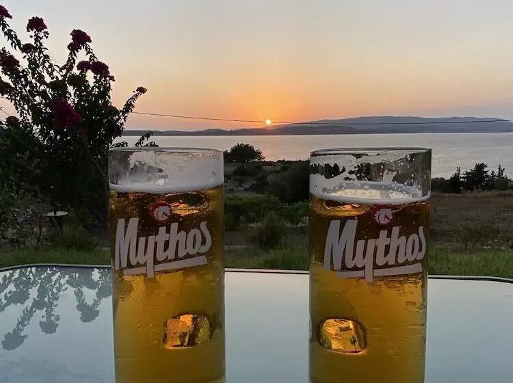 Metaxatos Apartments