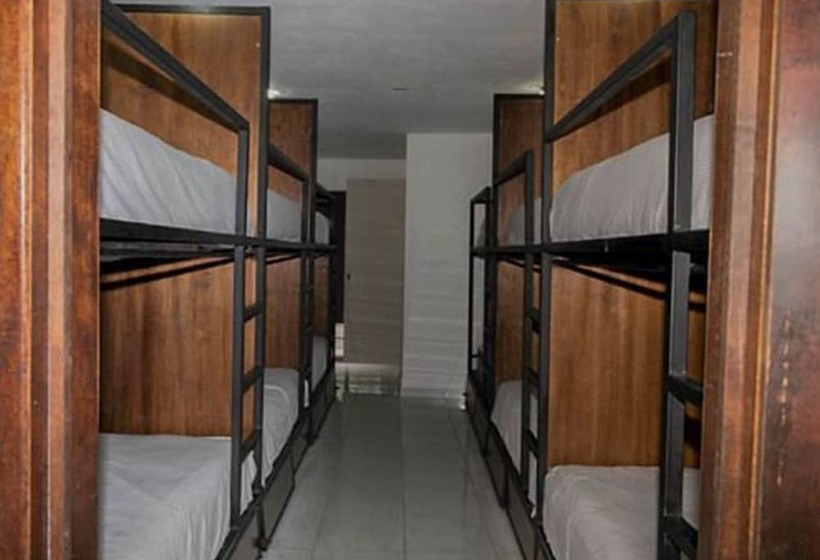 ホテル Hostal Tokio   Hostel