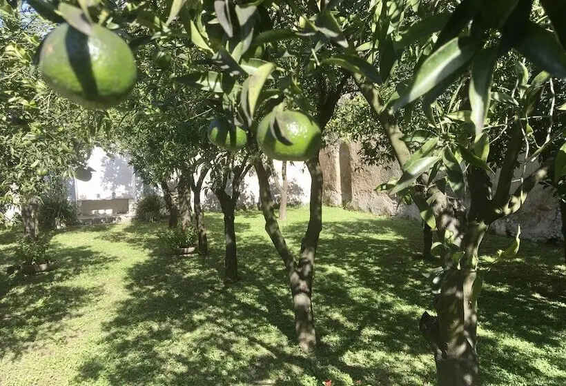 ホテル Palazzo Benucci   Residenza Di Charme
