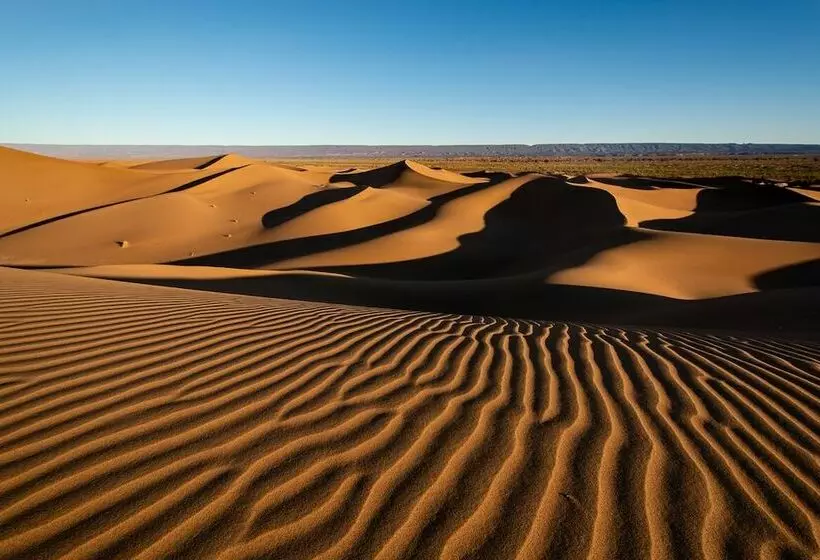 ホテル Bivouac Joudour Sahara