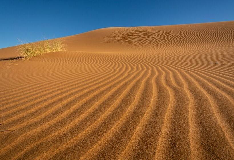 Hotel Bivouac Joudour Sahara