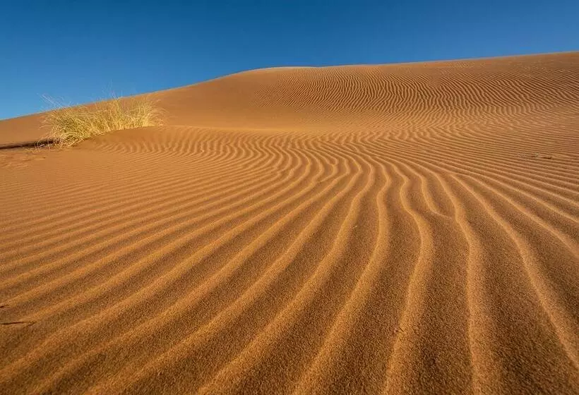 ホテル Bivouac Joudour Sahara