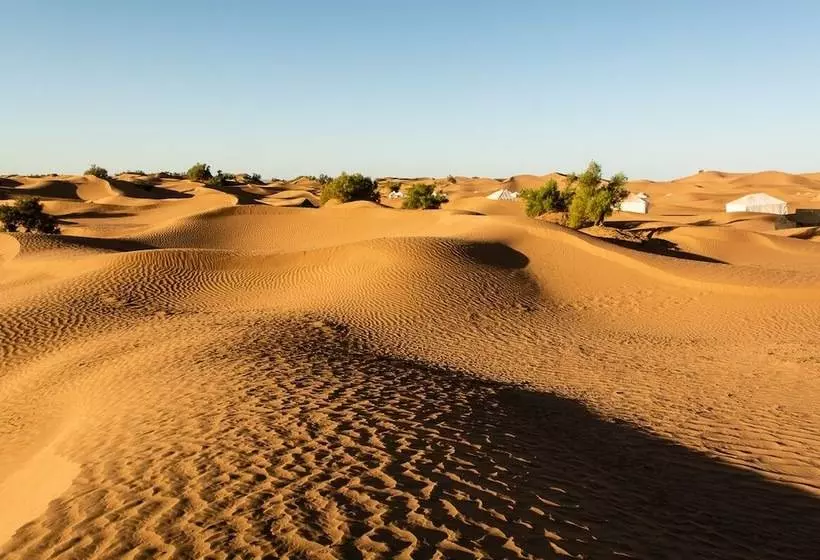 ホテル Bivouac Joudour Sahara