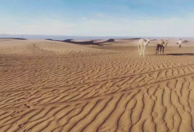 ホテル Bivouac Joudour Sahara