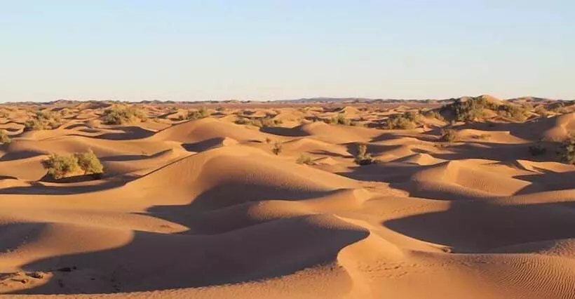 ホテル Bivouac Joudour Sahara
