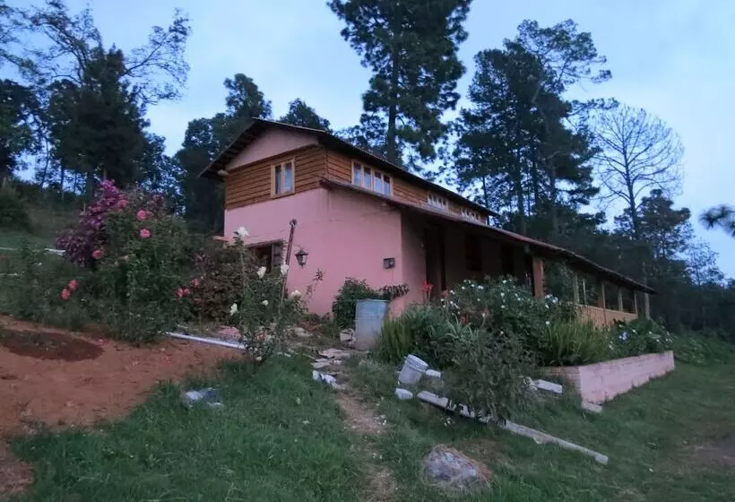 Viña Real Cabañas Rotamundos