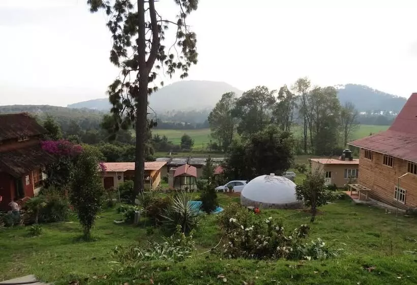 Viña Real Cabañas Rotamundos